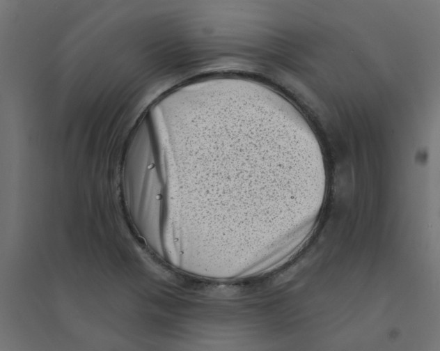 X0000094331321200711241820