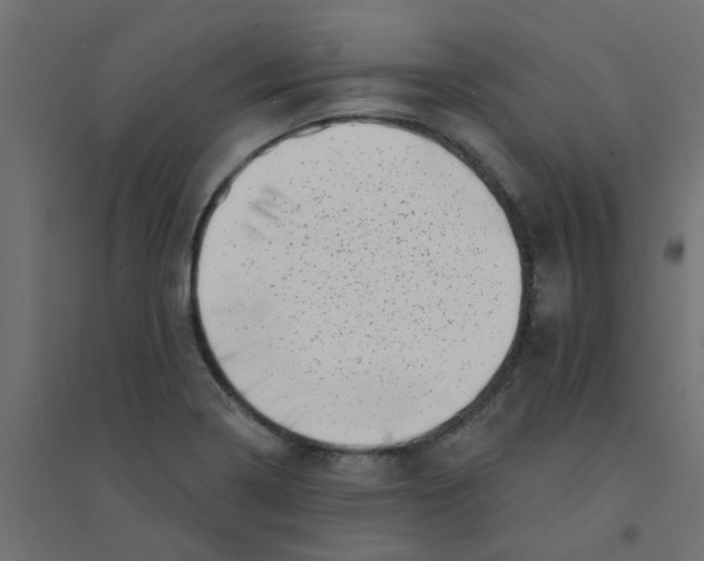 X0000094331322200711241820