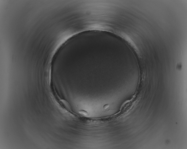 X0000094331323200711241820