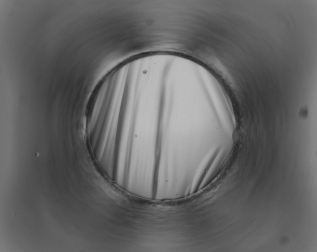 X0000094331324200711241820