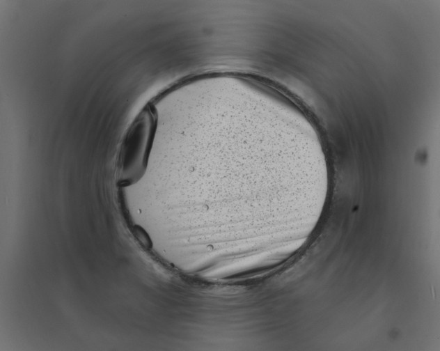 X0000094331325200711241820