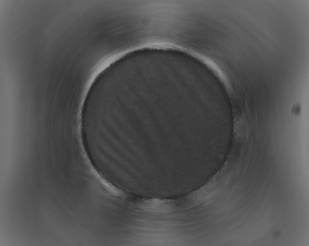 X0000094331327200711241820
