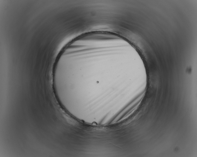 X0000094331328200711241820