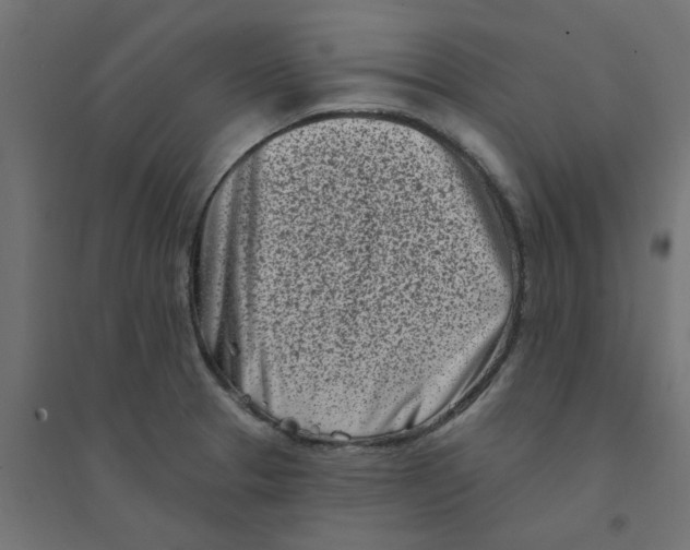 X0000094331329200711241820
