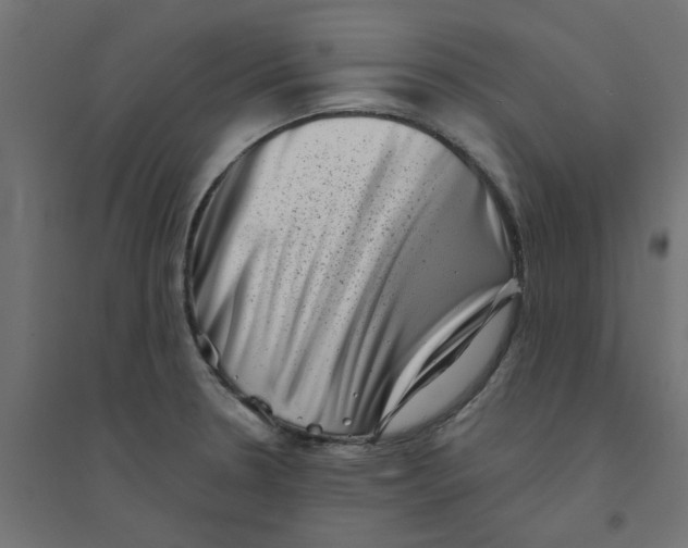 X0000094331330200711241821