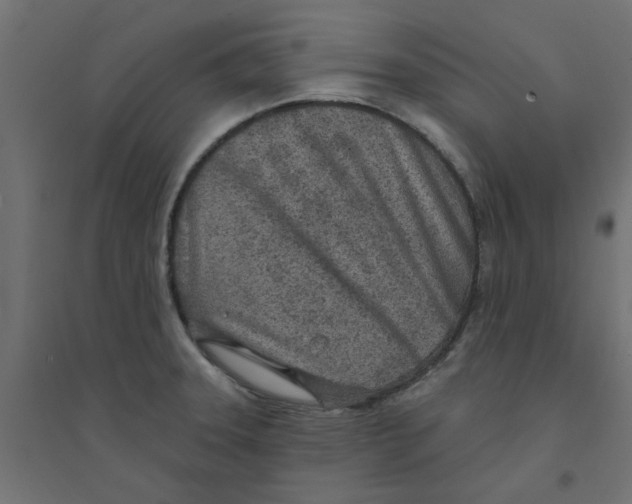 X0000094331331200711241821