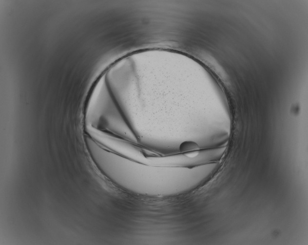 X0000094331332200711241821
