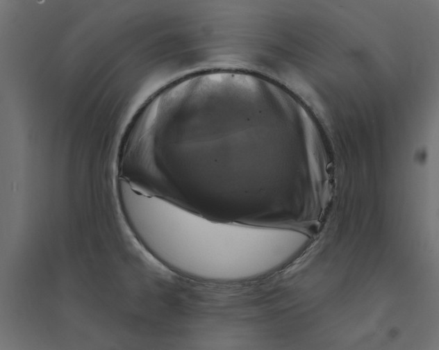 X0000094331334200711241821
