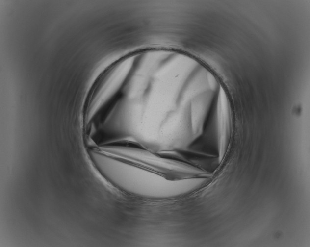 X0000094331335200711241821