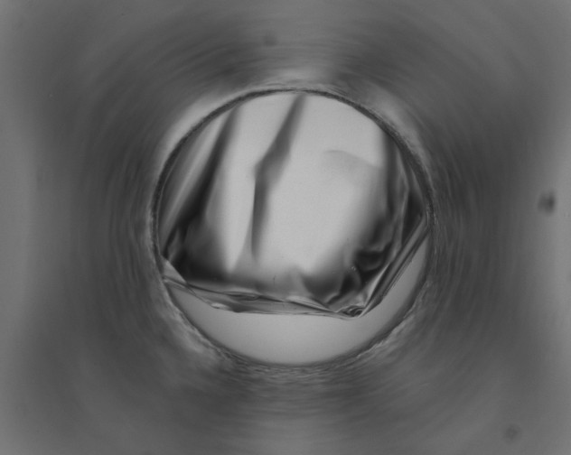 X0000094331336200711241821