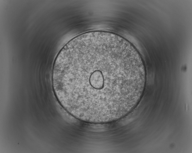 X0000094331338200711241821