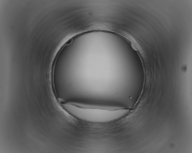 X0000094331339200711241821
