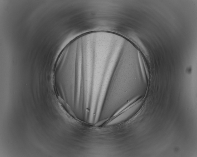 X0000094331340200711241821