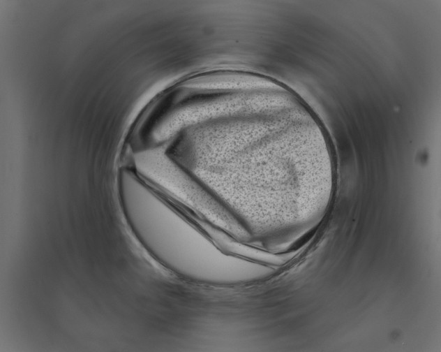 X0000094331341200711241821