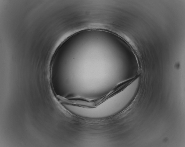X0000094331342200711241821