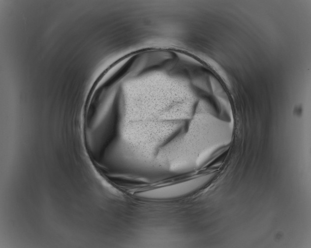 X0000094331343200711241821