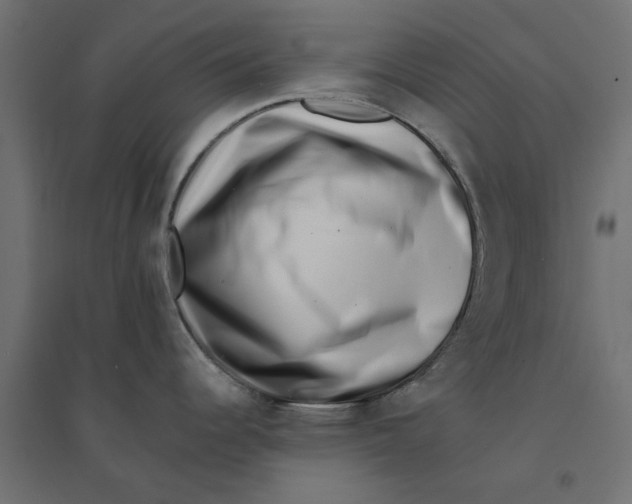 X0000094331344200711241821