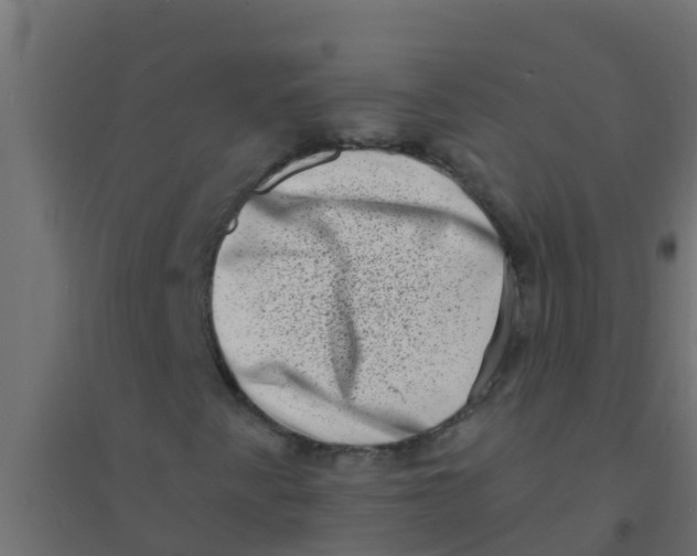 X0000094331345200711241820