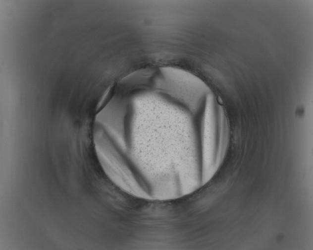 X0000094331346200711241820