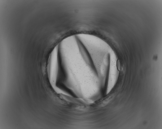 X0000094331348200711241820