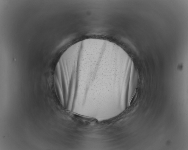 X0000094331350200711241820