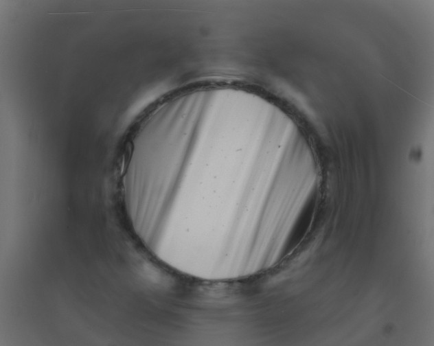 X0000094331352200711241820