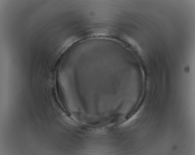 X0000094331353200711241820