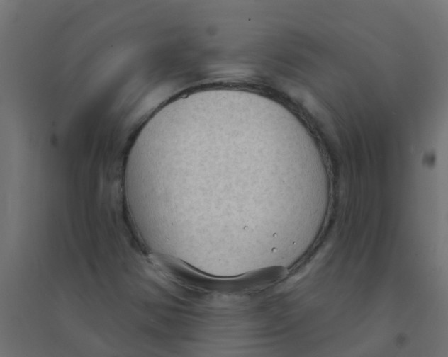 X0000094331354200711241820