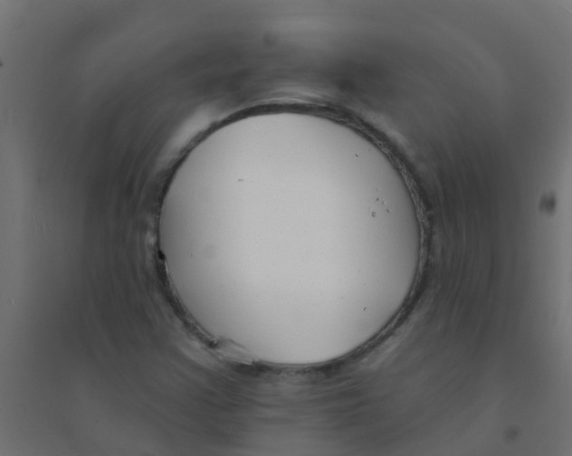 X0000094331355200711241820