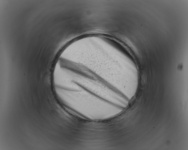 X0000094331356200711241820