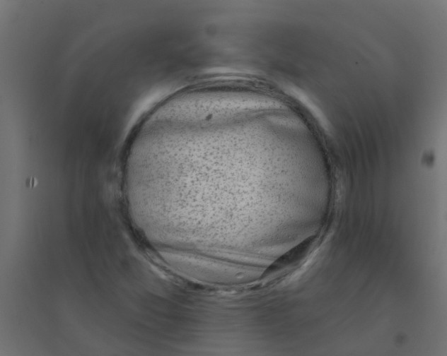 X0000094331357200711241820