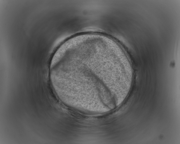 X0000094331358200711241820