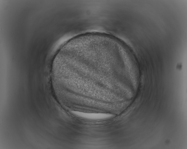 X0000094331359200711241820
