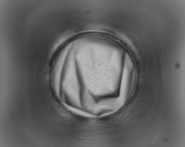 X0000094331360200711241820