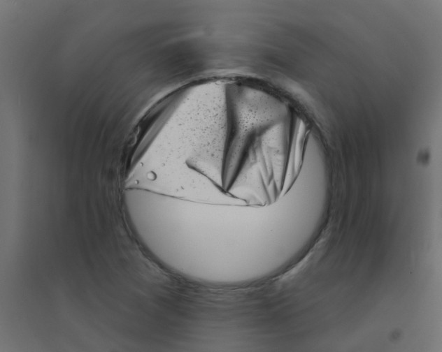 X0000094331361200711241820