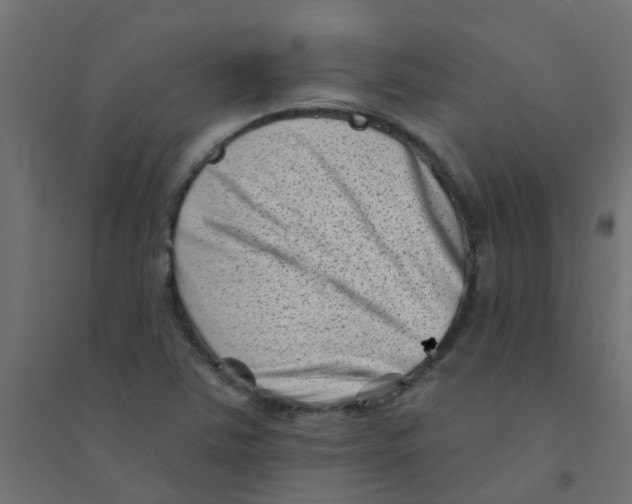 X0000094331363200711241820
