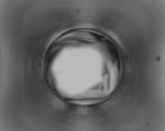 X0000094331364200711241820