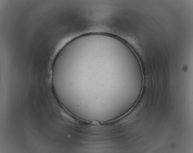 X0000094331366200711241820
