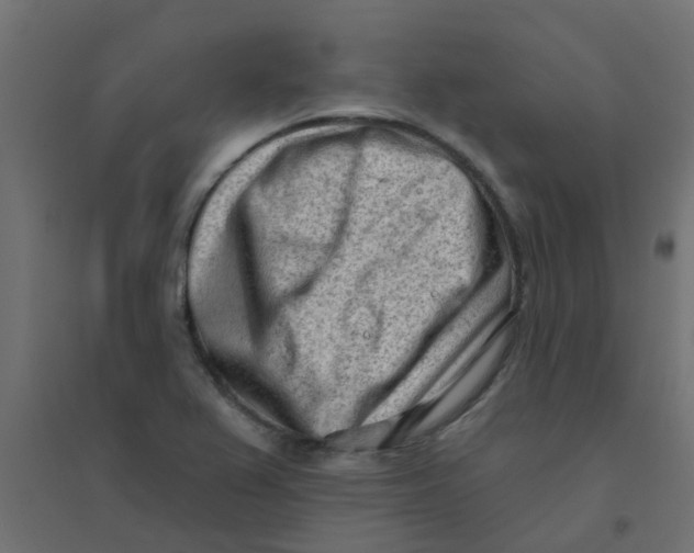 X0000094331367200711241820