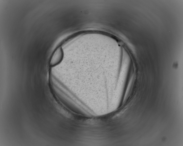 X0000094331368200711241820