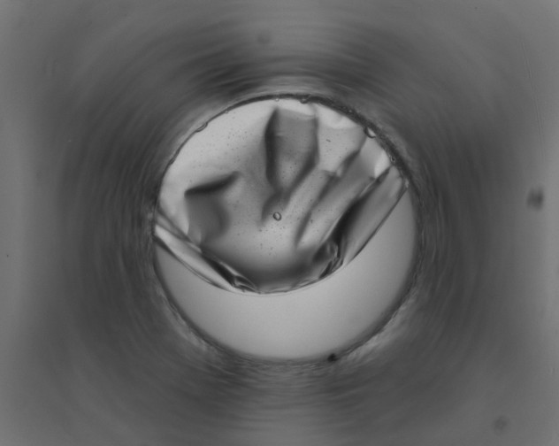 X0000094331369200711241820