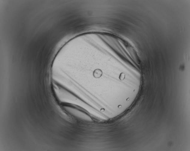 X0000094331371200711241820