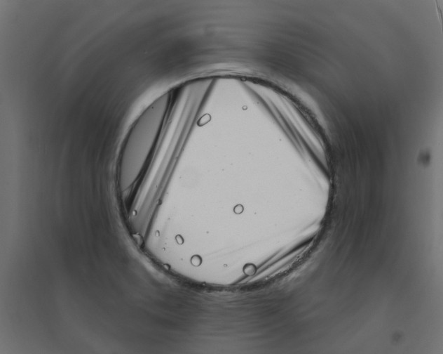 X0000094331373200711241820