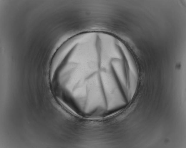 X0000094331374200711241820