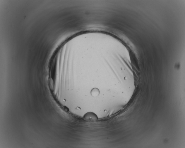 X0000094331376200711241820