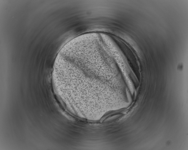 X0000094331377200711241820