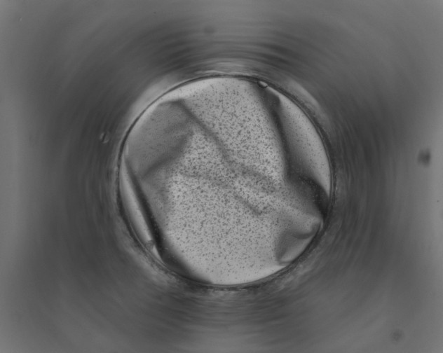 X0000094331378200711241820