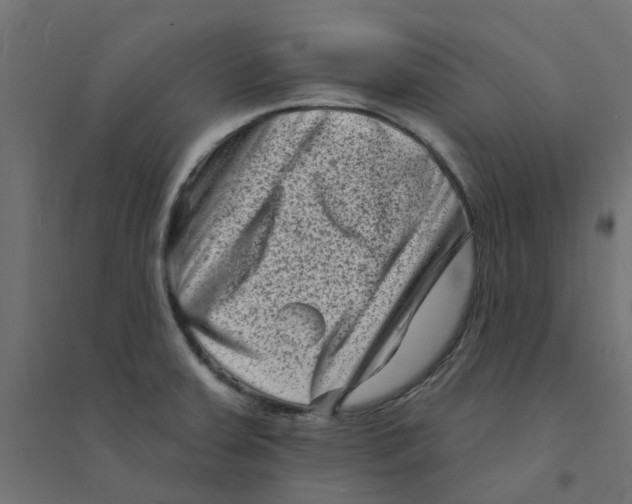 X0000094331379200711241820