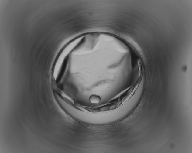 X0000094331380200711241820