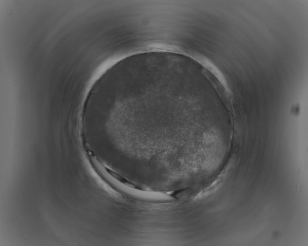 X0000094331381200711241820